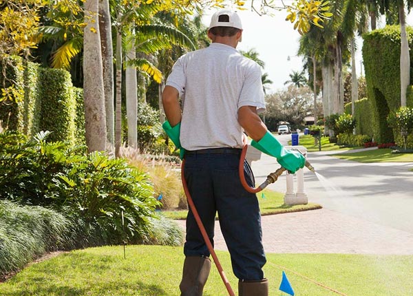 About Sylvester GA Pest Control Pros